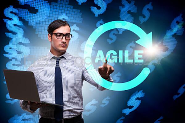 敏捷軟件開(kāi)發(fā) 擁抱變化，持續(xù)交付價(jià)值的核心理念與實(shí)踐